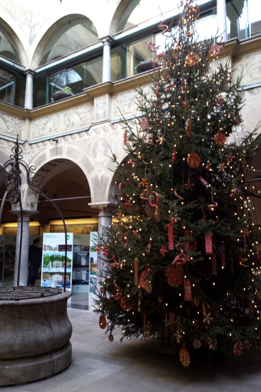 Decorated Christmas tree at the Ljubljana town hall Study in