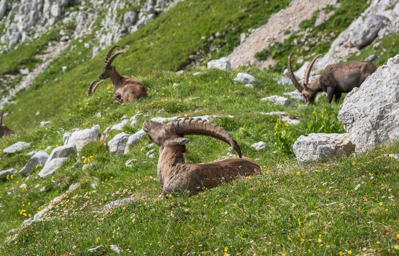 Natural Beauty Study in SloveniaStudy in Slovenia